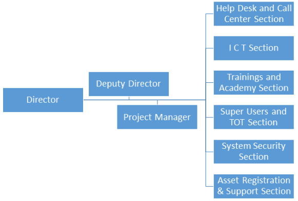 IT Systems Department Structure