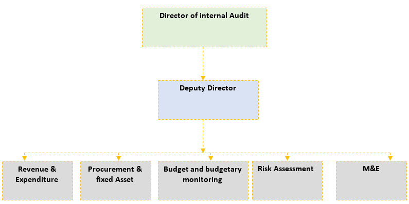 Internal Audit Services Department Structure