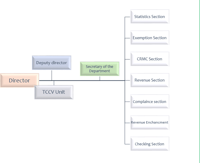 Customs Department Structure